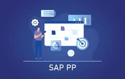 SAP PP Training