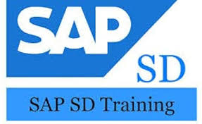 SAP SD Training Softcrayons