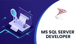 Microsoft SQL Server Developer Training