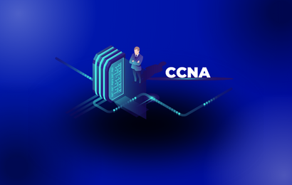 CCNA Training Softcrayons